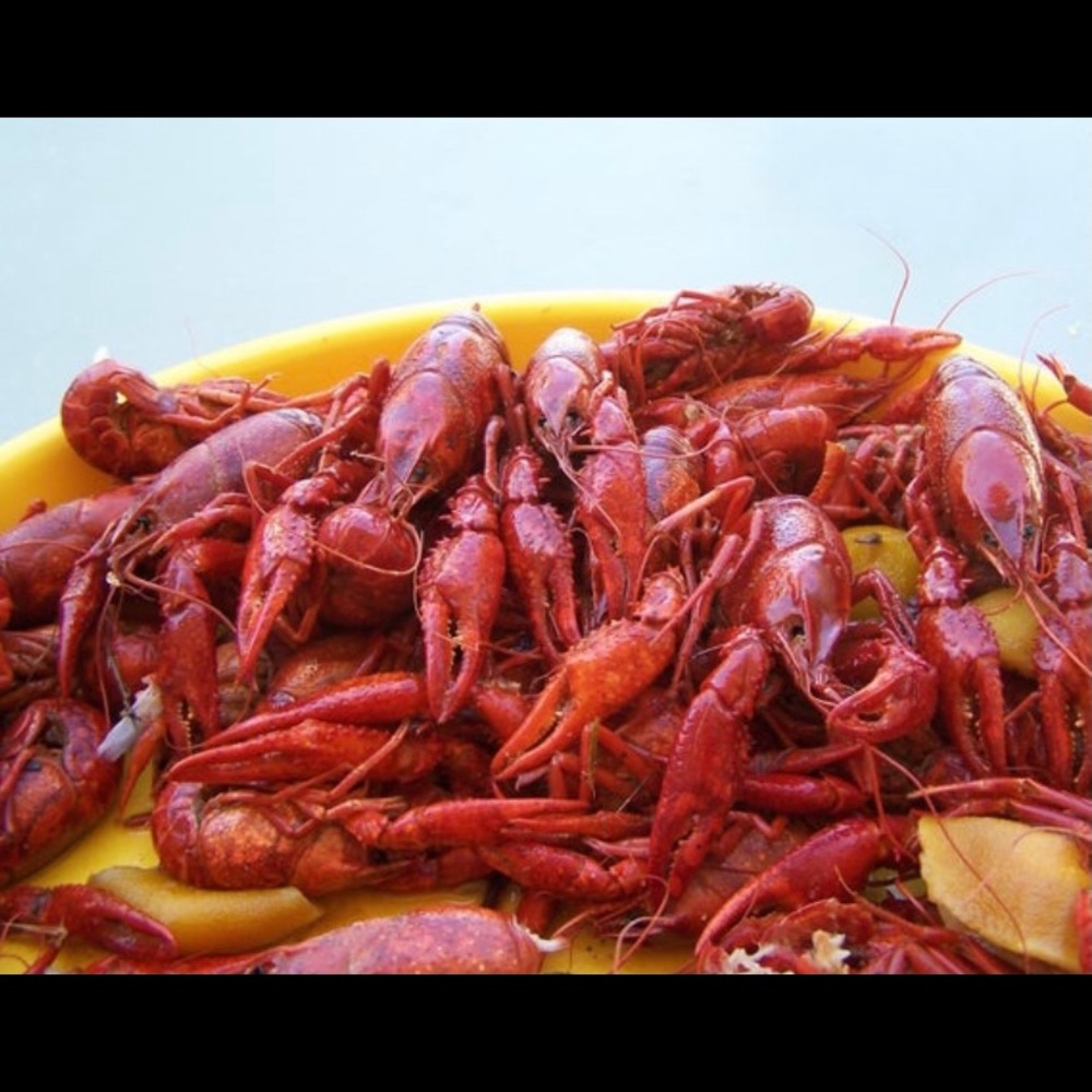 Crawfish Boil Canvas